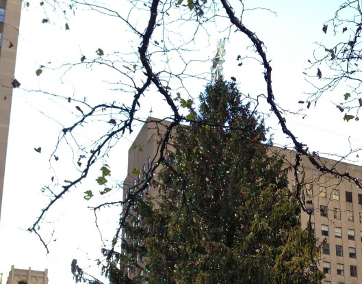 Rockefeller Center Tree with silver and gold flags